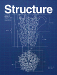 Structure's cover